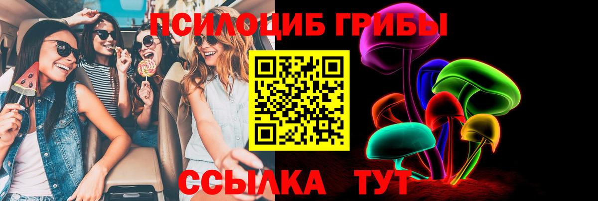 Павлово  Галлюциногенные грибы Magic Shrooms  продажа наркотиков  Вход с VPN  Галлюциногенные грибы мицелий 
